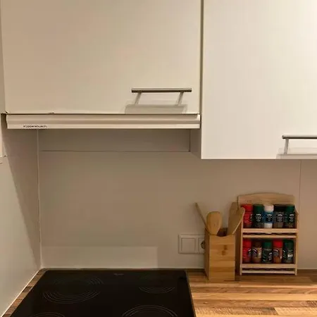 Apartment Bran: Design - Kueche, Parken ,netflix *